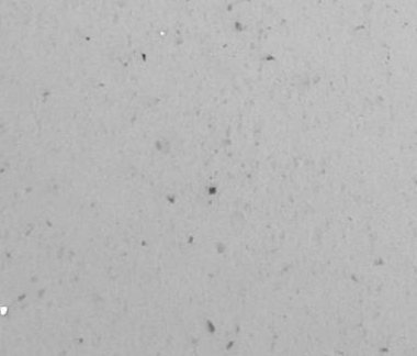 Snow Glitter close-up detail