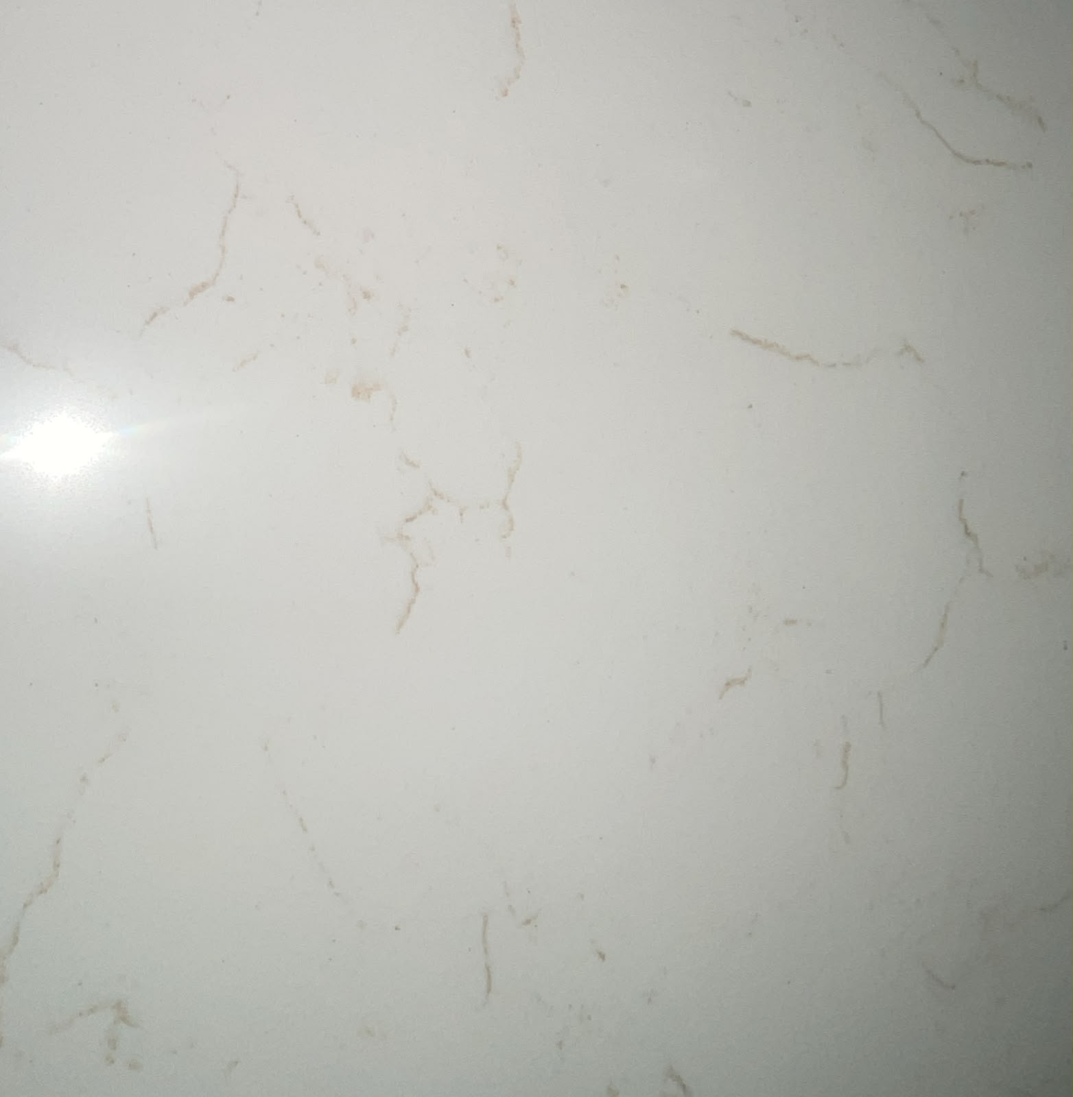 Cararra Gold quartz slab, Mayur Marbles Chennai